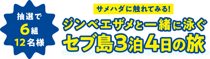 抽選で6組12名様 サメハダに触れてみる！ジンベエザメと一緒に泳ぐ セブ島3泊4日の旅